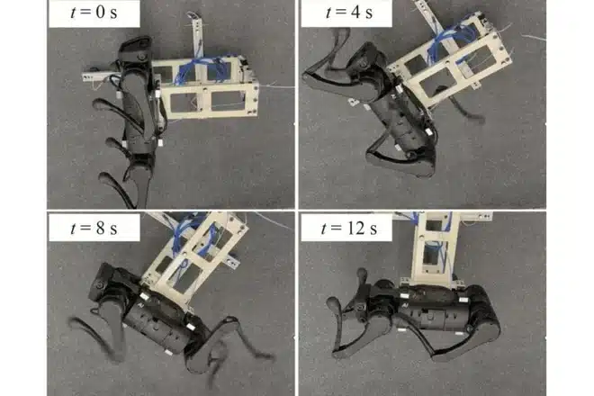 il gatto robot per lo spazio ideato dalla Cina